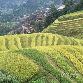 龙胜西山峻景雅居住宿酒店提供图片