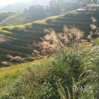 龙胜西山峻景雅居住宿酒店提供图片