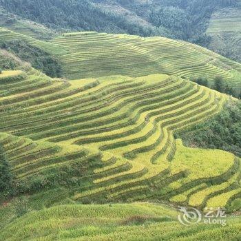 龙胜西山峻景雅居住宿酒店提供图片