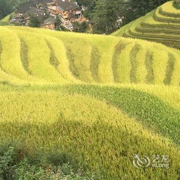 龙胜西山峻景雅居住宿酒店提供图片