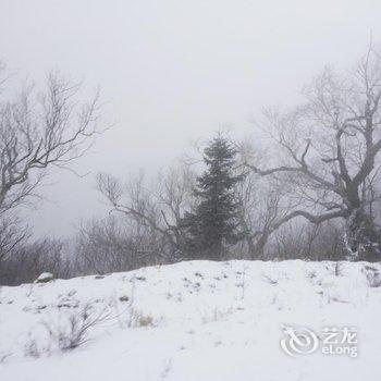 海林聚雪园酒店酒店提供图片