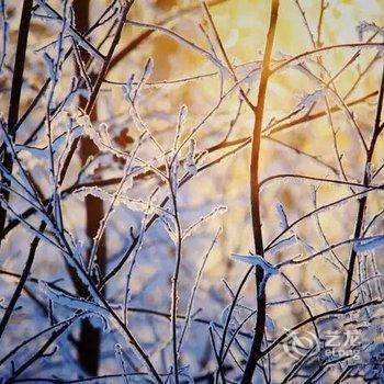 雪乡二浪河大妮子民俗客栈酒店提供图片