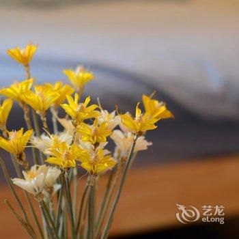 上海旧石里民宿酒店提供图片