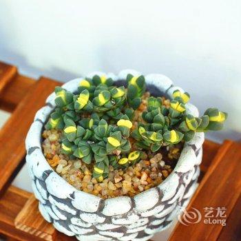 上海旧石里民宿酒店提供图片