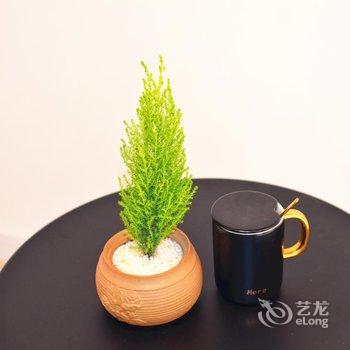 上海旧石里民宿酒店提供图片