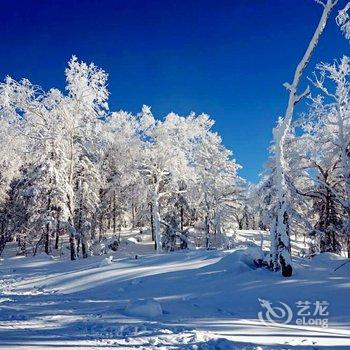 雪乡天雪缘山庄酒店提供图片