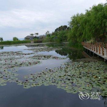 抚仙湖湖伴圣水公寓酒店提供图片