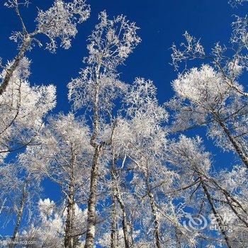 雪乡二浪河豆豆农家院酒店提供图片