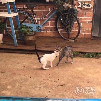 北海涠洲岛墙墙猫客栈酒店提供图片