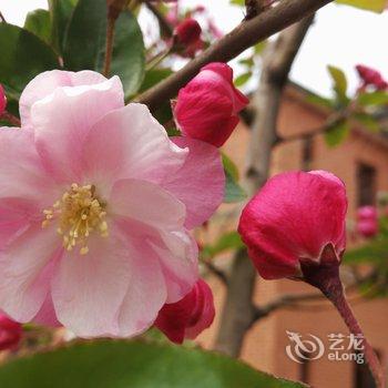 大连铁道1896花园酒店酒店提供图片