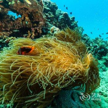 陵水分界洲岛海钓会所酒店提供图片