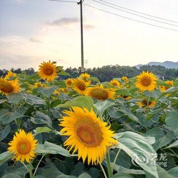 湄潭滨江驿站主题酒店酒店提供图片