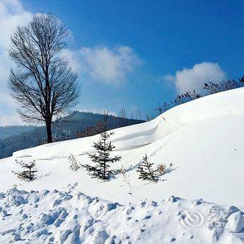 牡丹江威虎山雪村松林客栈酒店提供图片