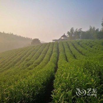 宜兴半山有庐民宿酒店提供图片