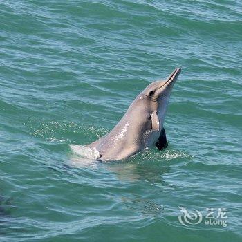 钦州三娘湾港湾海景酒店酒店提供图片