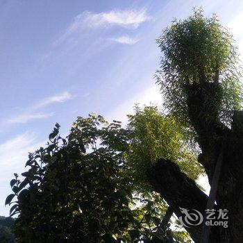 青木川风雷客栈(汉中)酒店提供图片