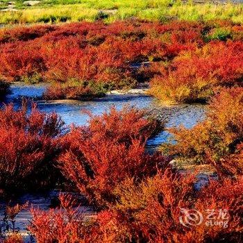 富裕龙腾生态温泉度假庄园酒店提供图片