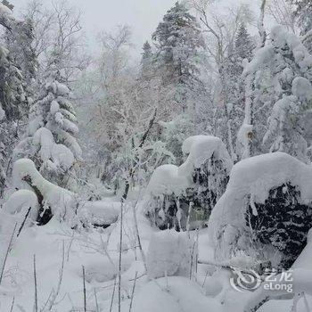 雪乡二浪河亚雪客栈酒店提供图片