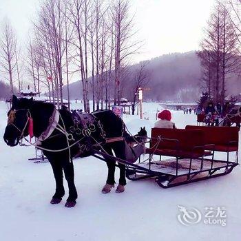 雪乡二浪河亚雪客栈酒店提供图片