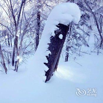 雪乡二浪河亚雪客栈酒店提供图片