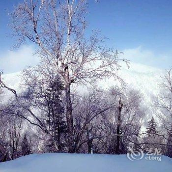 雪乡二浪河亚雪客栈酒店提供图片