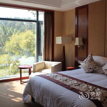 普洱开元梅子湖温泉酒店酒店提供图片
