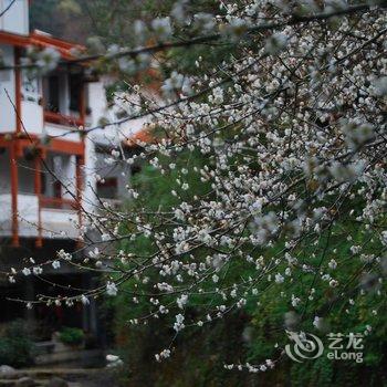 武夷山庄酒店提供图片