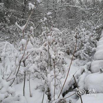 漠河北极村李大妈农家院分店酒店提供图片