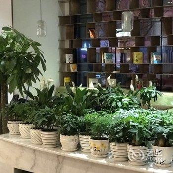 白城花色酒店酒店提供图片