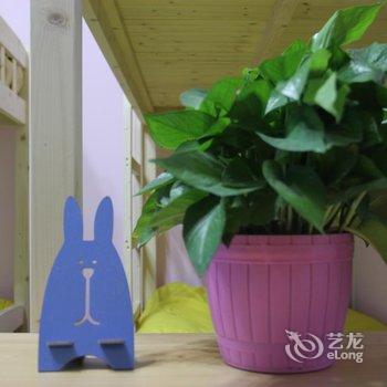 重庆南来北往青年旅舍酒店提供图片