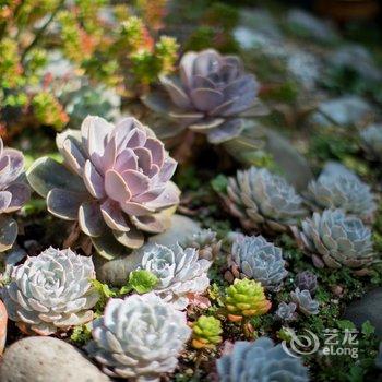 花语岸度假民宿(丽江兿束店)酒店提供图片