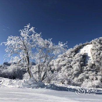 茂县九顶山九顶情农家乐酒店提供图片