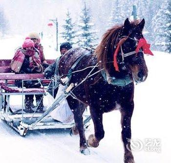 哈尔滨亚布力雪乡农家院酒店提供图片