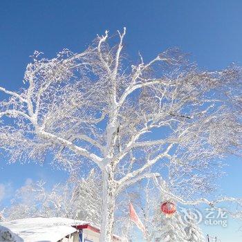 哈尔滨亚布力雪乡农家院酒店提供图片