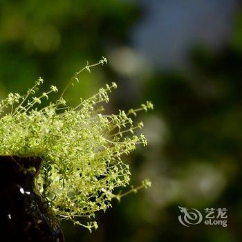 宁蒗湖子客栈酒店提供图片