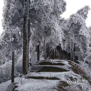 九华山静娴山庄酒店提供图片