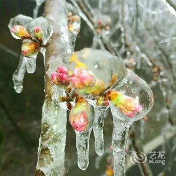 衡阳悠然避暑山庄酒店提供图片