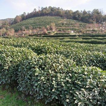 杭州走南闯北民宿酒店提供图片