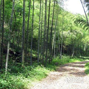 宣城月亮湾山乡野菜庄农家乐酒店提供图片