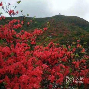 浏阳嘉园度假山庄酒店提供图片