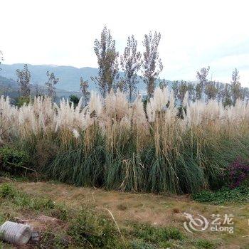 西昌邛海鸿雁客栈酒店提供图片