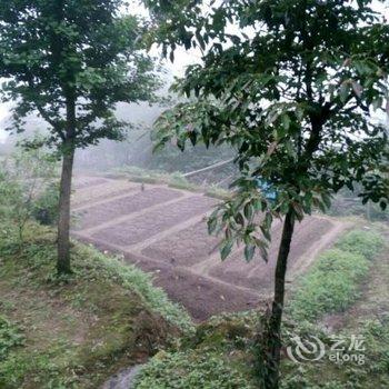 衡阳山水人家避暑山庄酒店提供图片