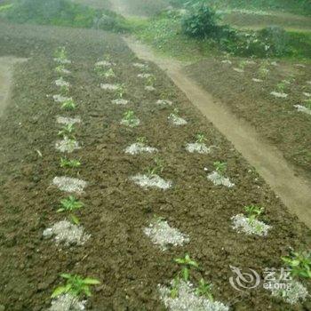 衡阳山水人家避暑山庄酒店提供图片