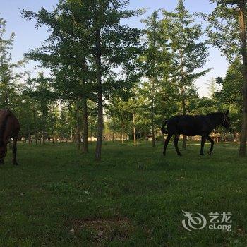 长兴蒋家古宅民宿酒店提供图片