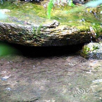 莫干山糊涂家宠物主题民宿酒店提供图片