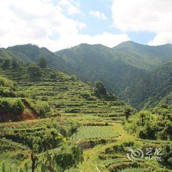 龙泉万年青农家乐酒店提供图片