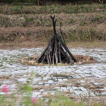 青阳龙岭山庄酒店提供图片