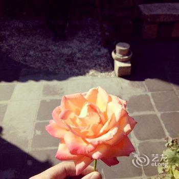 黄山间隔年青年旅舍酒店提供图片