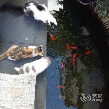 黄山间隔年青年旅舍酒店提供图片
