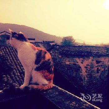 黄山间隔年青年旅舍酒店提供图片